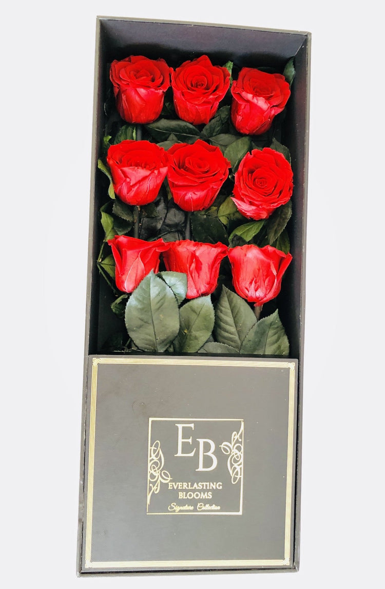 9 Everlasting Red Roses in Acrylic Gift Box - Everlasting Blooms Vic