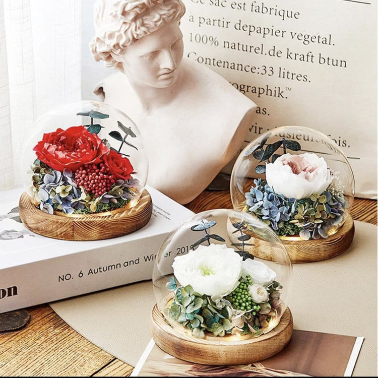 Ava Rose Dome with LED - Everlasting Blooms Vic