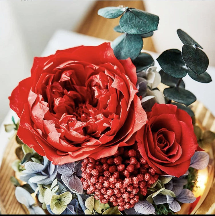 Ava Rose Dome with LED - Everlasting Blooms Vic