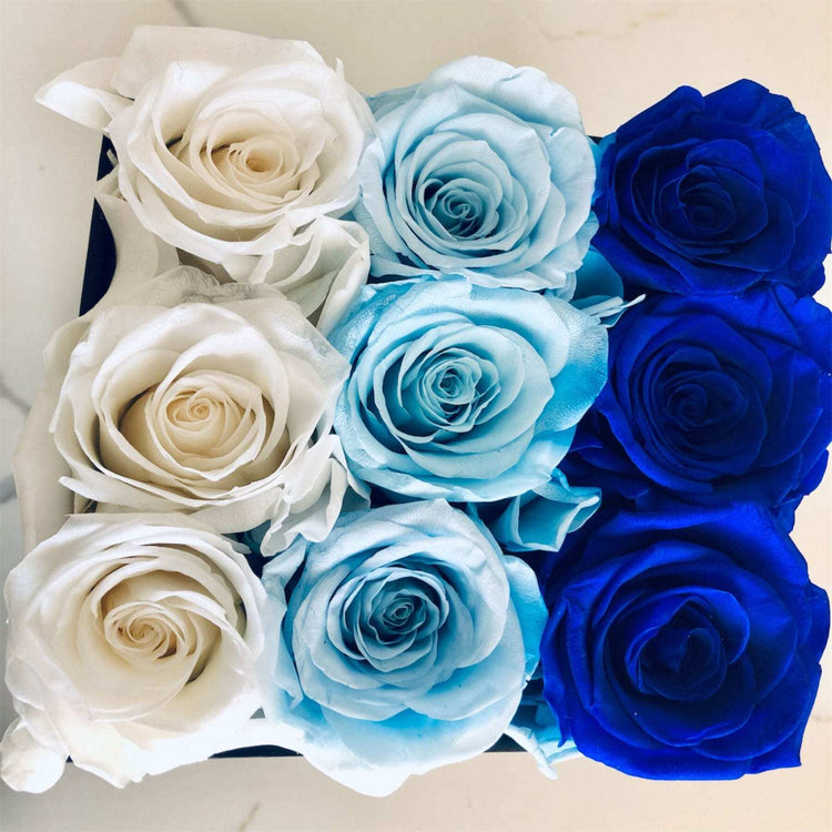 Blue Ombre Square Rose Hat Box - Everlasting Blooms Vic
