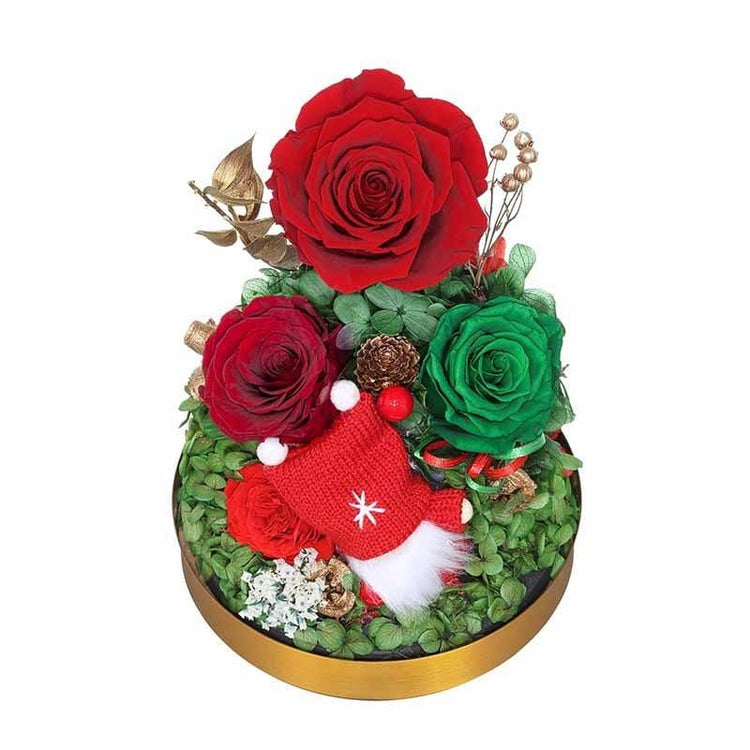 Christmas Rose Dome - Everlasting Blooms Vic