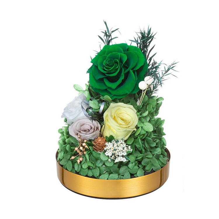 Emerald velvet Rose Dome - Everlasting Blooms Vic