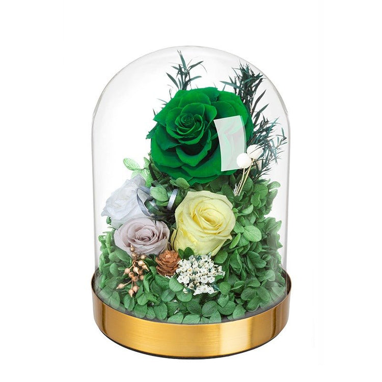 Emerald velvet Rose Dome - Everlasting Blooms Vic