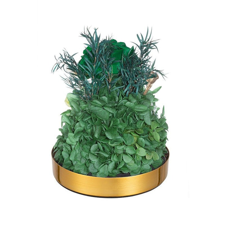 Emerald velvet Rose Dome - Everlasting Blooms Vic