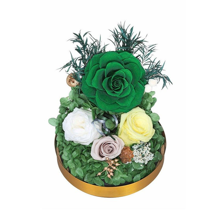 Emerald velvet Rose Dome - Everlasting Blooms Vic