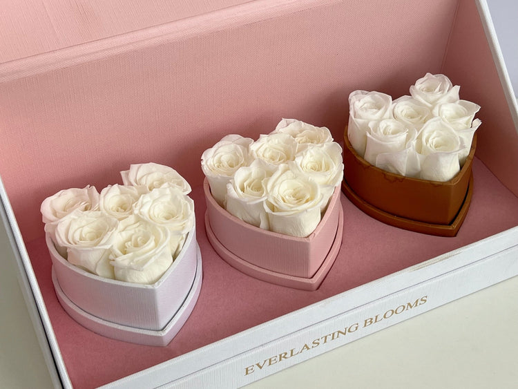 Le Mini Heart Bundle Sets - White - Everlasting Blooms Vic