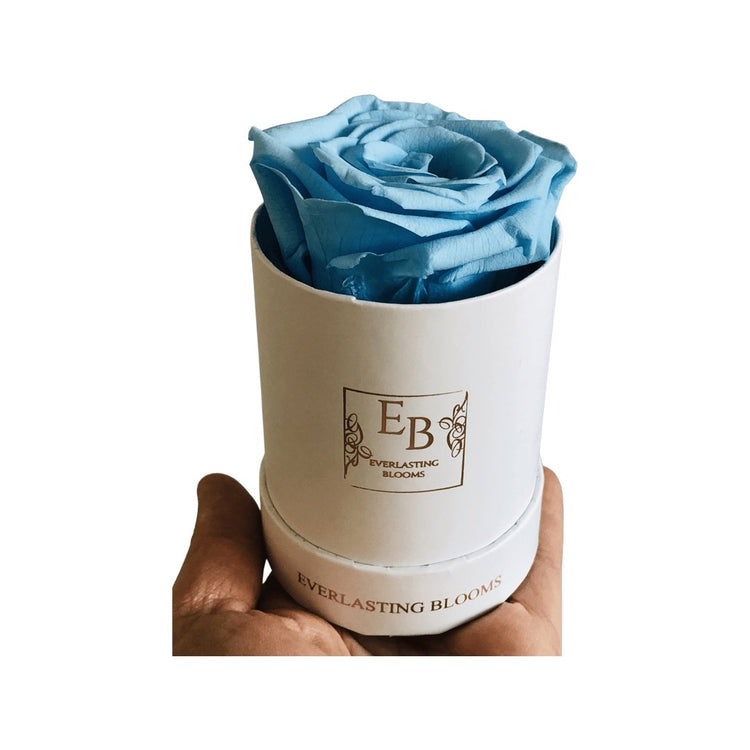 Le Mini Round Rose - Blue - Everlasting Blooms Vic