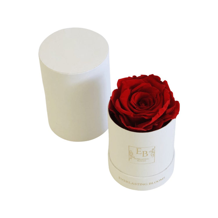 Le Mini Round Rose - red - Everlasting Blooms Vic