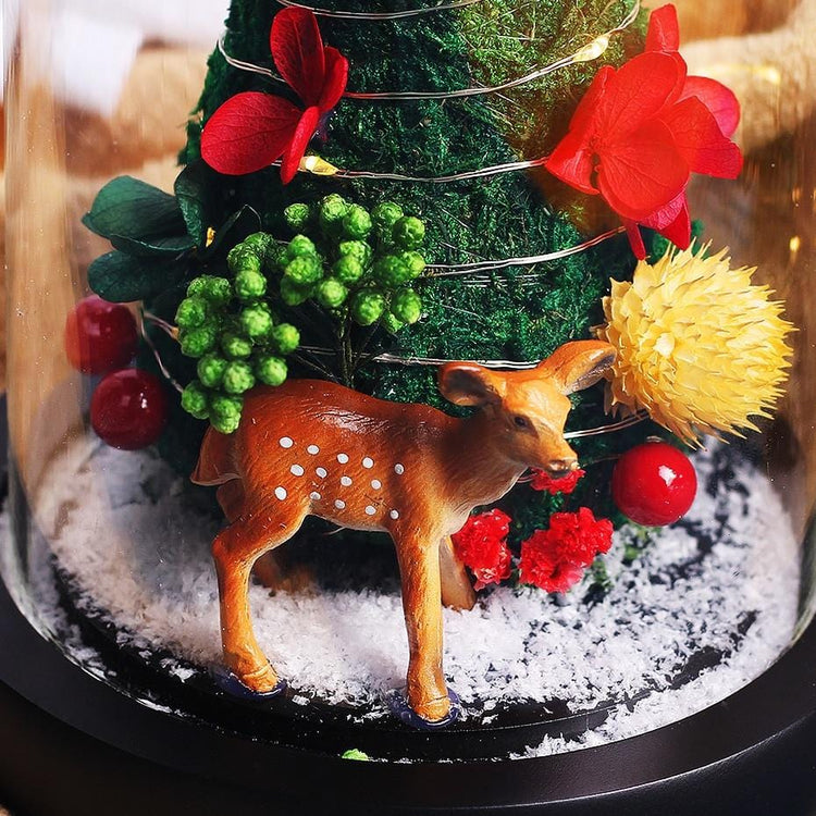 Raindeer at Christmas in Glass Rose Dome with LED.