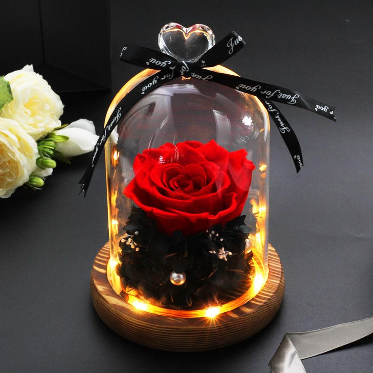 Red Louise Rose Dome LED.