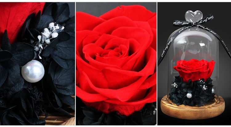 Red Louise Rose Dome LED.