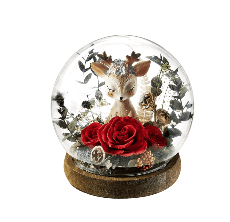 Princess Daisies Rose Dome LED.