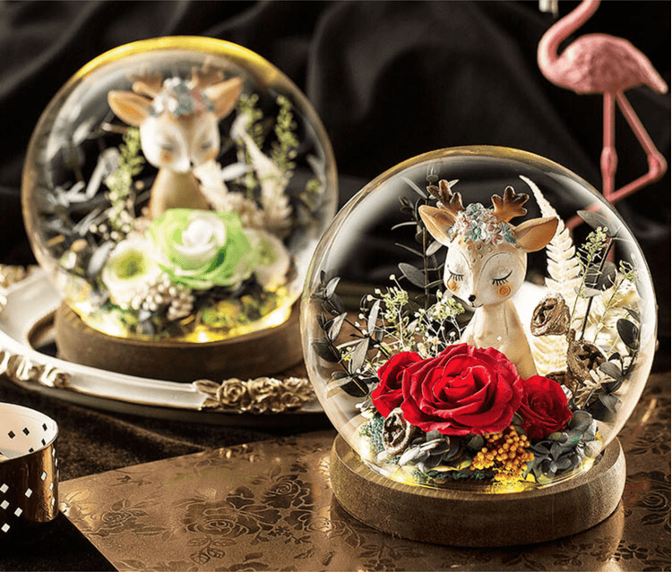 Princess Daisies Rose Dome LED.