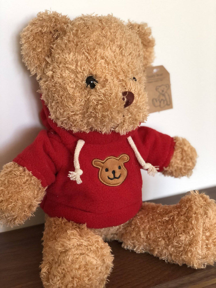 Plush Teddy Bear.