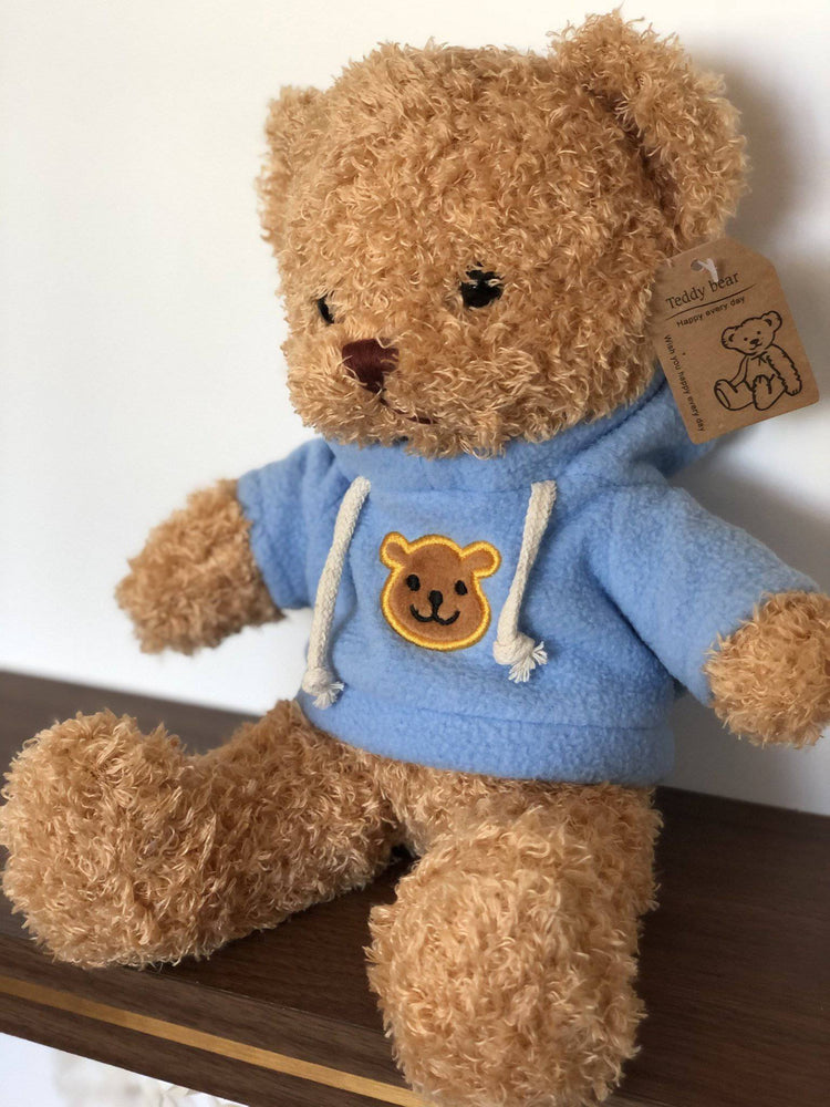 Plush Teddy Bear.