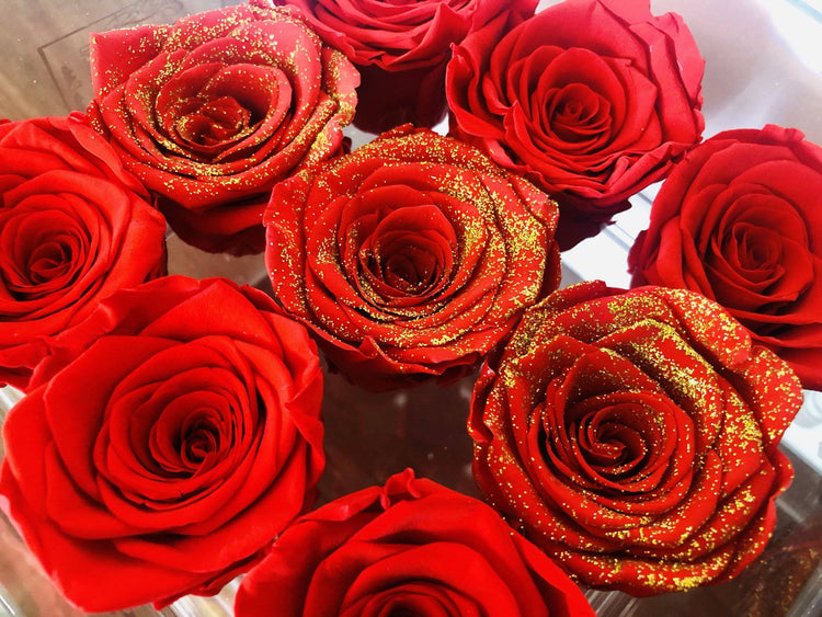 V Everlasting Red Roses Pack.