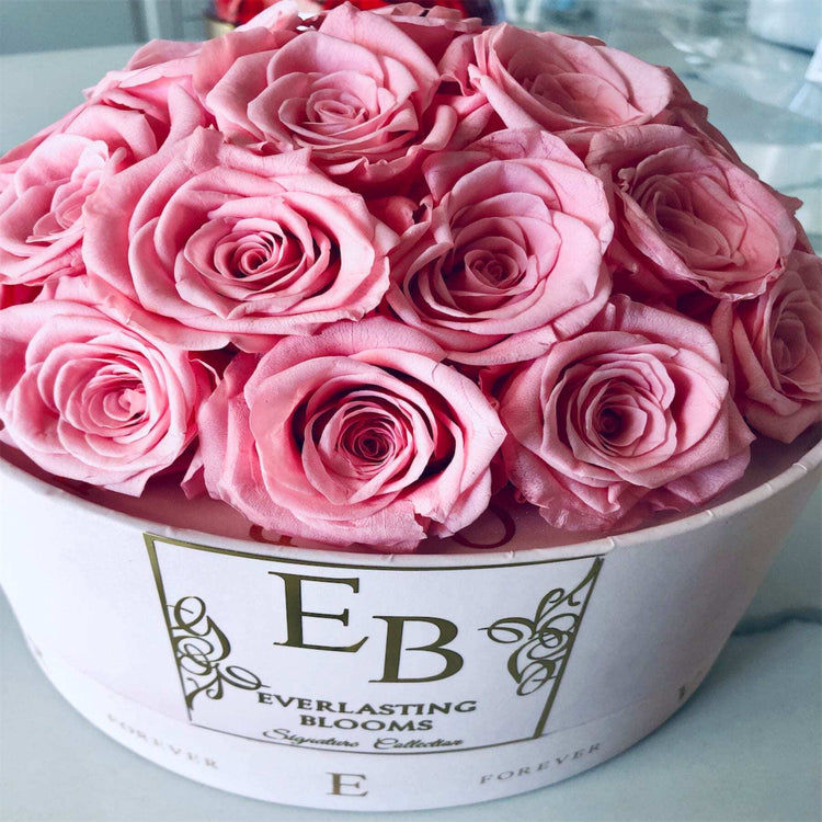 The Pink Rose Dome.
