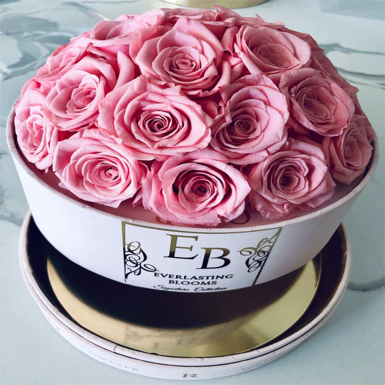 The Pink Rose Dome.