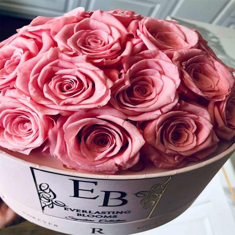 The Pink Rose Dome.