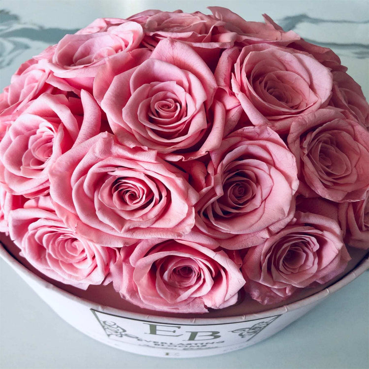 The Pink Rose Dome.