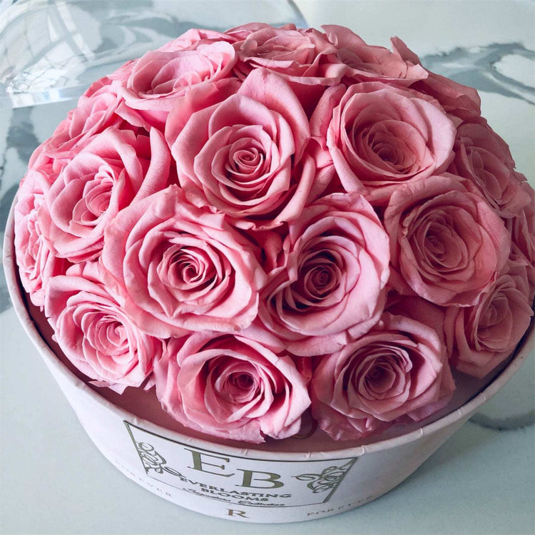 The Pink Rose Dome.