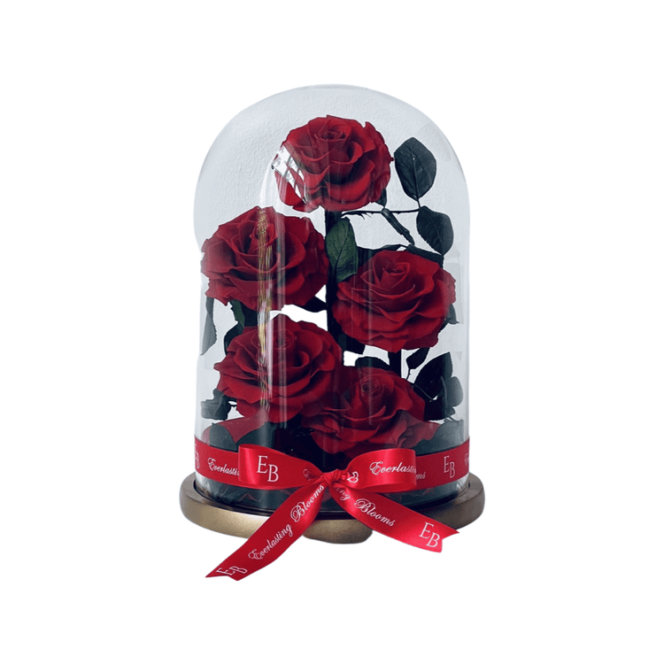 The Everlasting Rose Garden - Red.