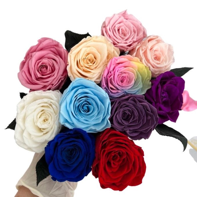 Long Stem rose with white hat box - Red.