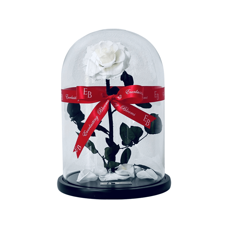 The Everlasting Rose - White.