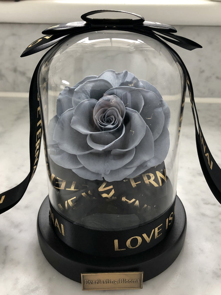 Lady Margaret Rose Dome LED.