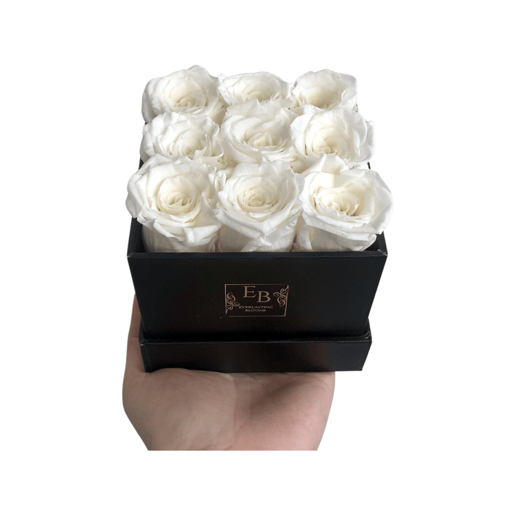 The Classic Bundle Set - White.