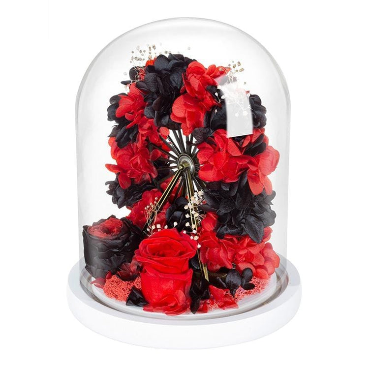 My Ferris Wheel RB Dome with LED.