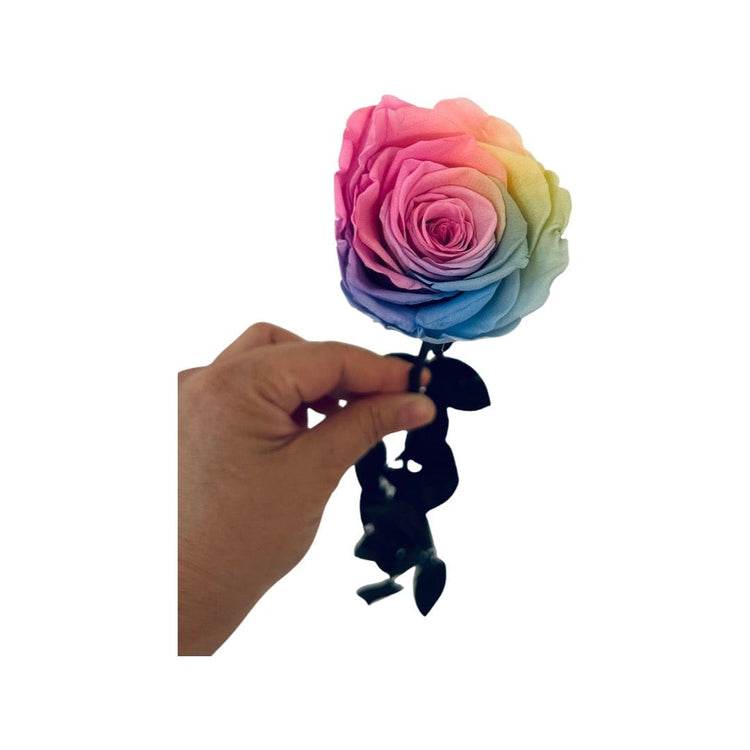 Long Stem rose with white hat box - Rainbow.