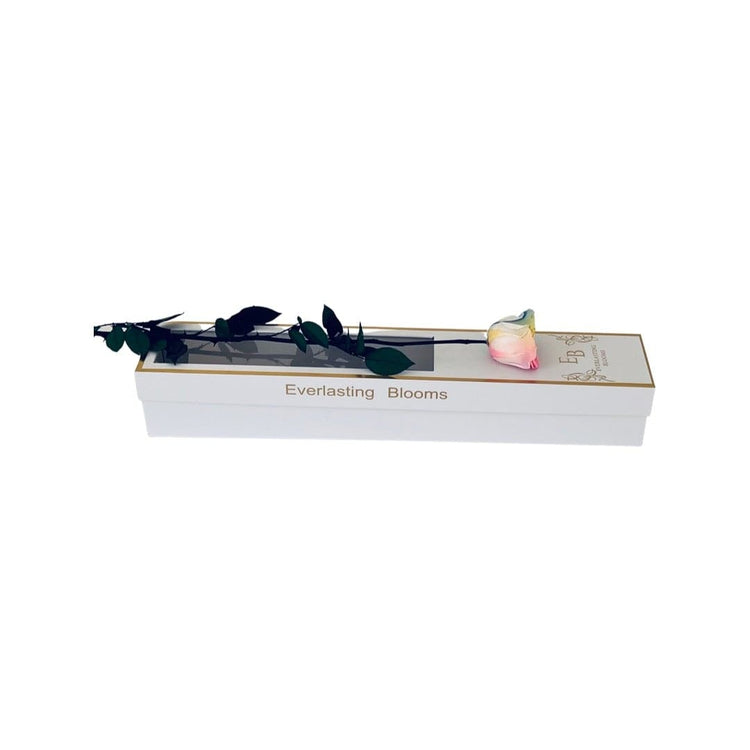 Long Stem rose with white hat box - Rainbow.