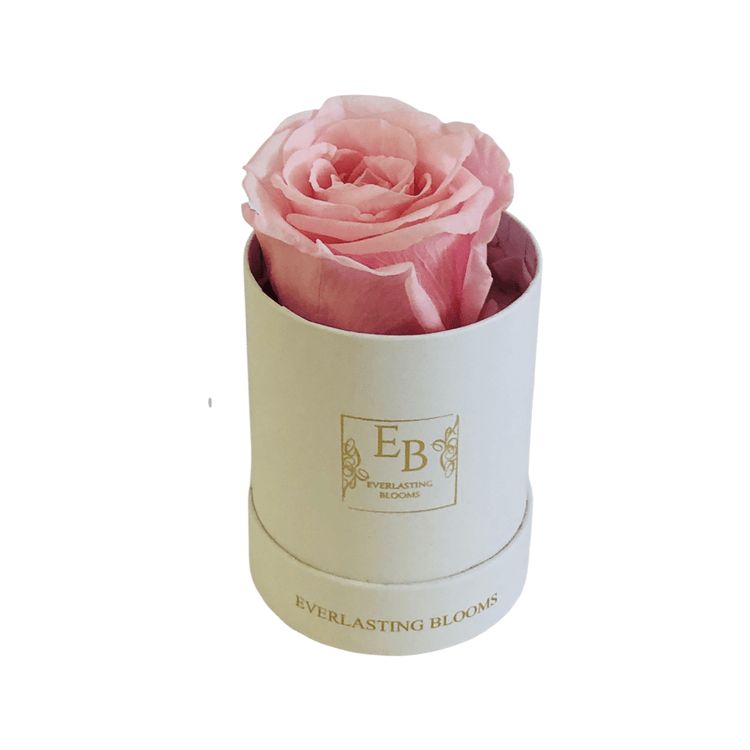 Le Mini Round Rose - Sakura Pink.