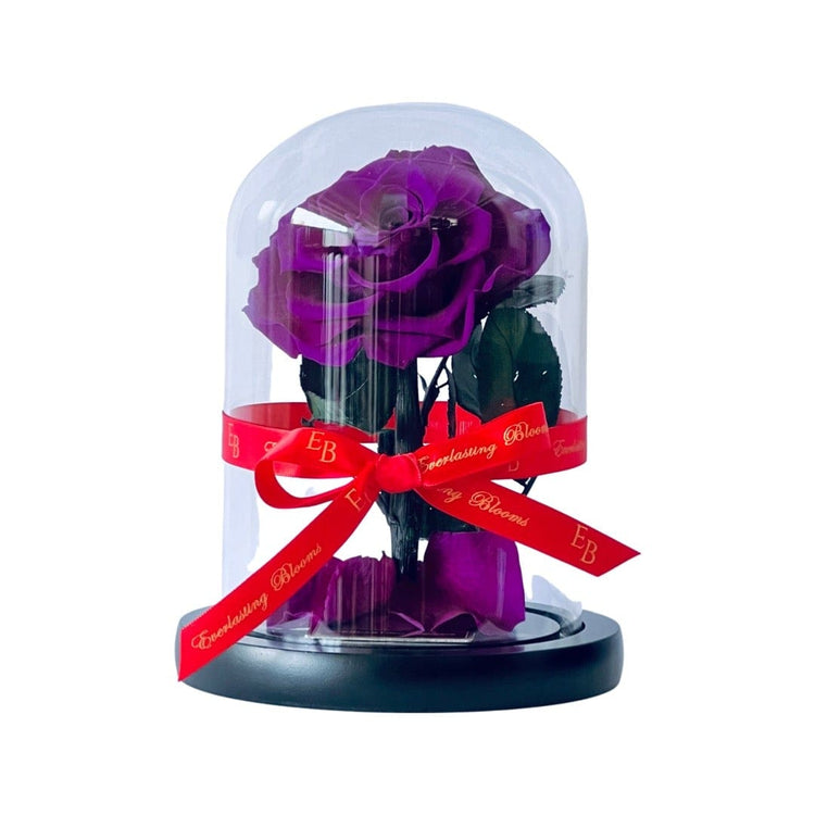 The Mini Everlasting Rose - Purple Queen.