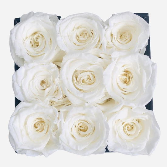 The Classic Bundle Set - White.