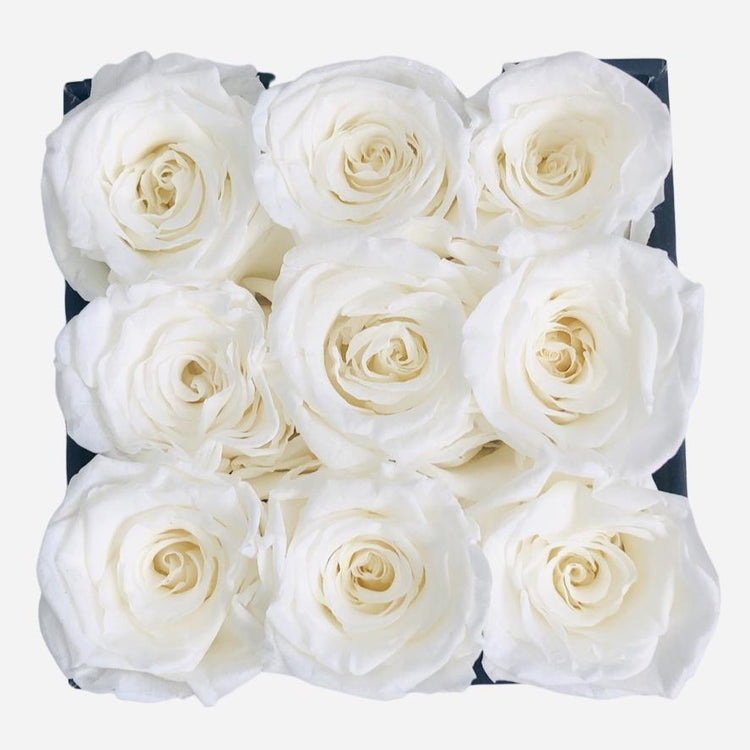 The Classic Bundle Set - White.