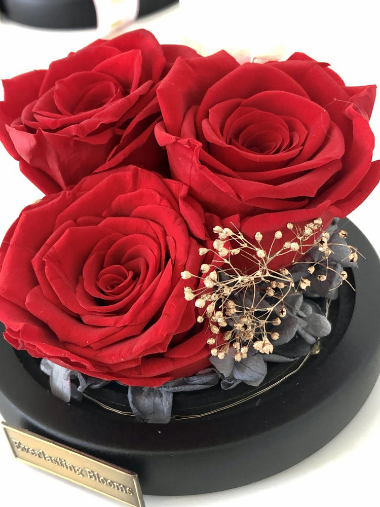 Petit Rose Garden with LED.