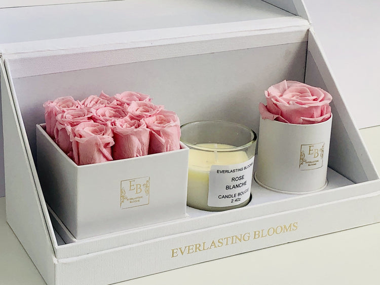 The Classic Bundle Set - Sakura Pink.