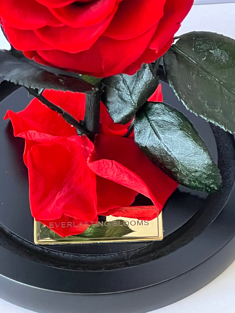 The Mini Everlasting Rose - Red.