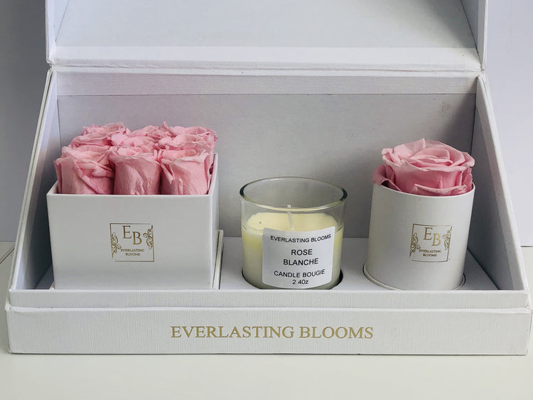 The Classic Bundle Set - Sakura Pink.