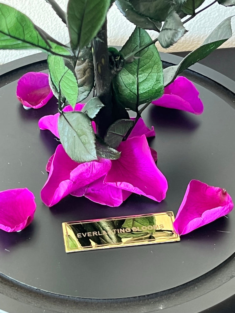 The Everlasting Rose - Purple Queen.