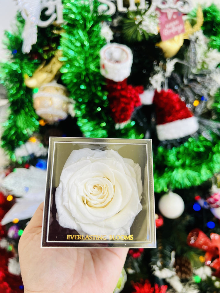 Twelve Days Of Love Notes.