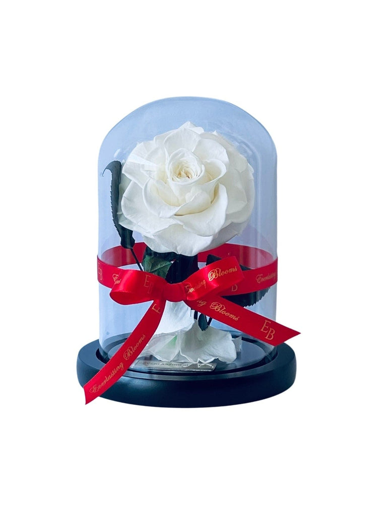 The Mini Everlasting Rose - White.