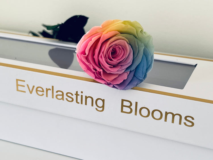 Long Stem rose with white hat box - Rainbow.