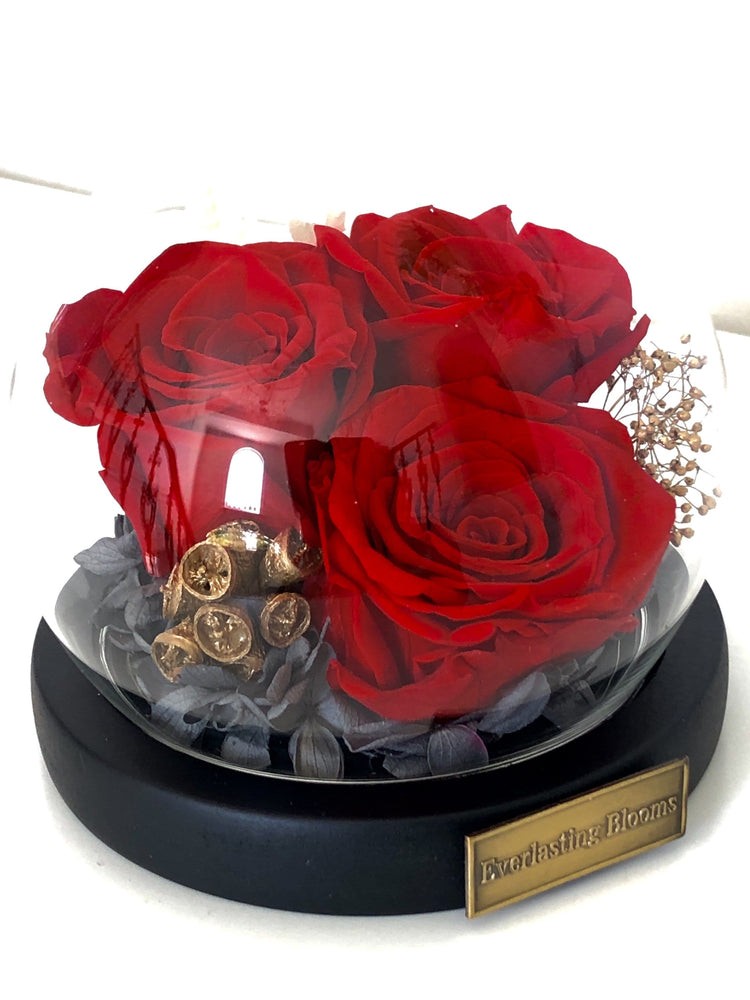 Petit Rose Garden with LED.