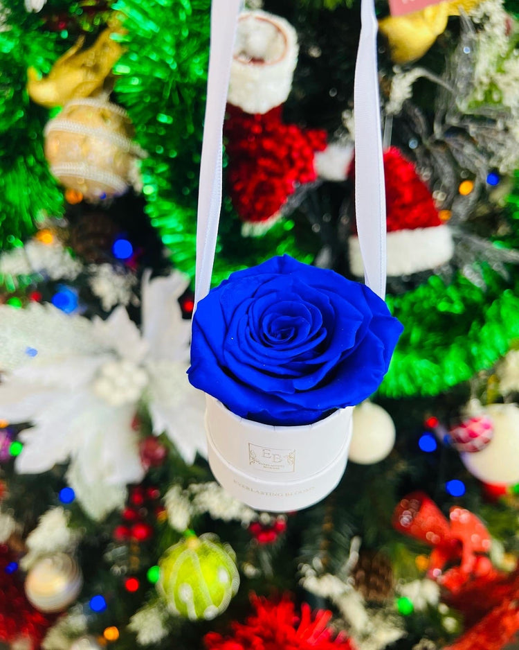 Twelve Days Of Love Notes.