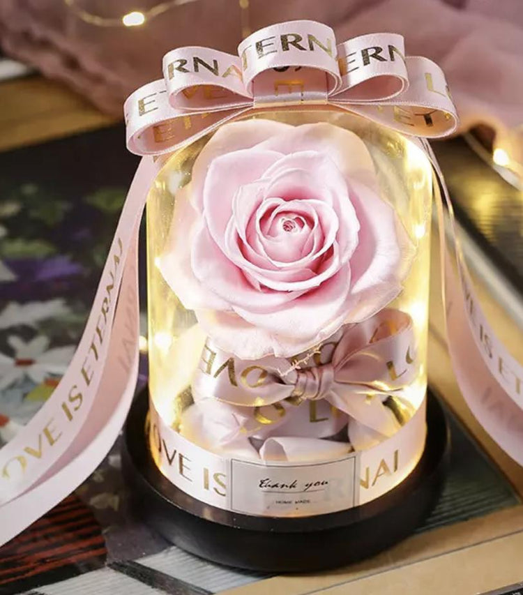 Lady Margaret Rose Dome LED.