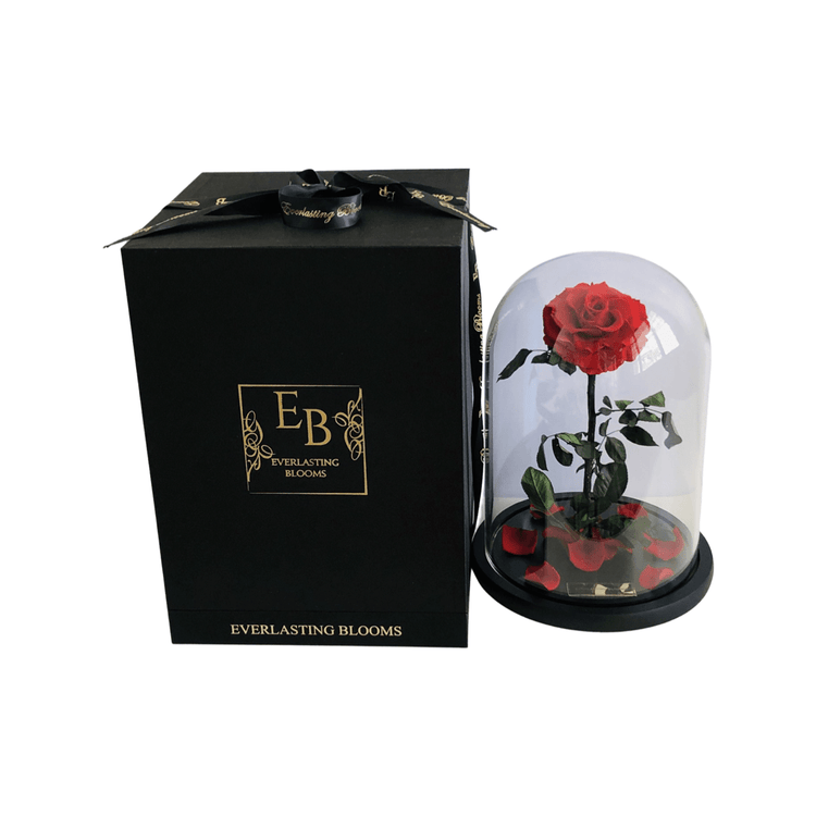 The Everlasting Rose - Red.