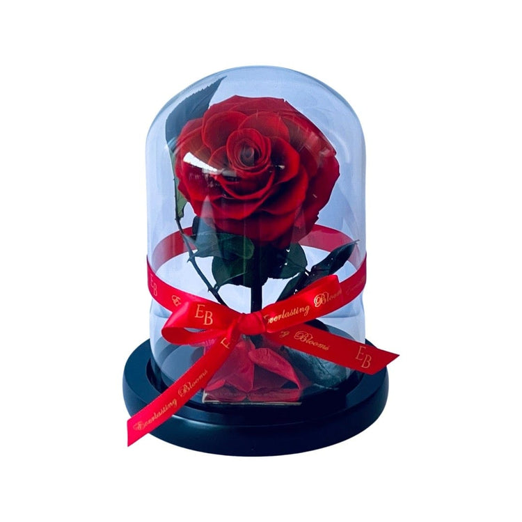 The Mini Everlasting Rose - Red.